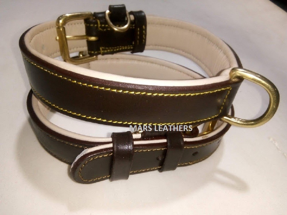 LEATHER PADDED DOG COLLAR