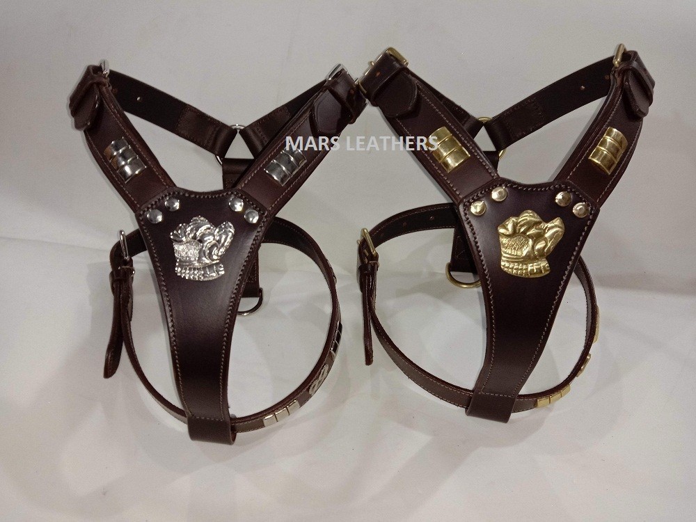 Staffordshire Bull Terrier Dog Harness